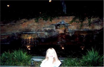 A Water Feature in Downtown Disney at Night