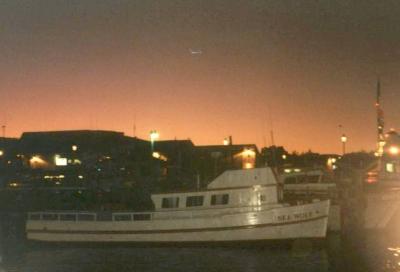 Whale Watching Boat