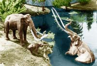 La Brea Tar Pits